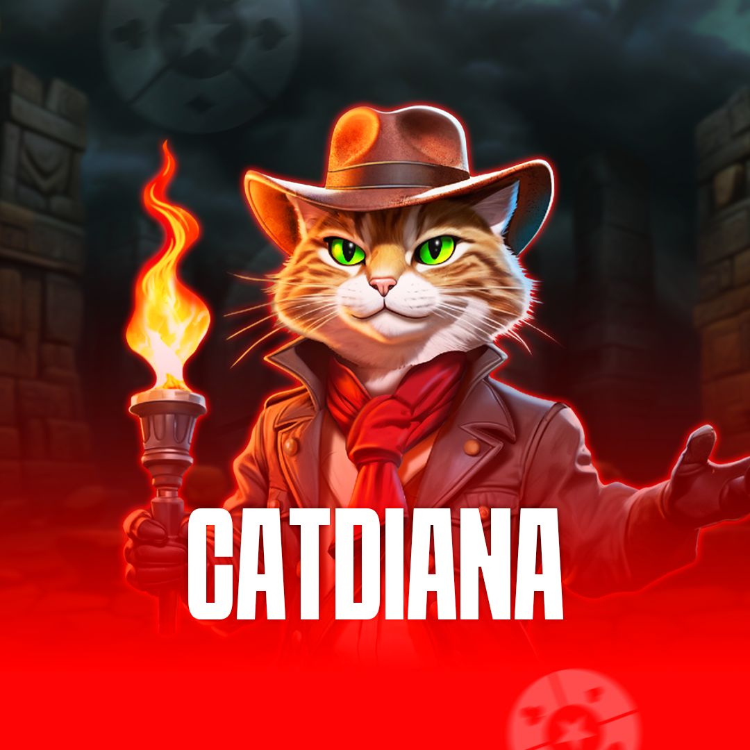 Coinbet24 Casino