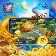 App para baixar