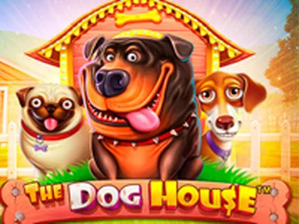Apk downloads