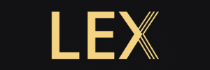 Fortune ox