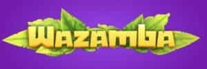 PLAYZEE